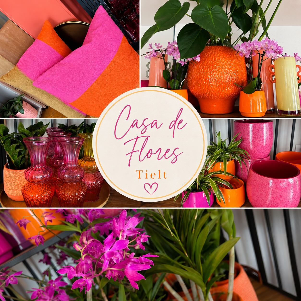 Instagram afbeelding Casa de Flores