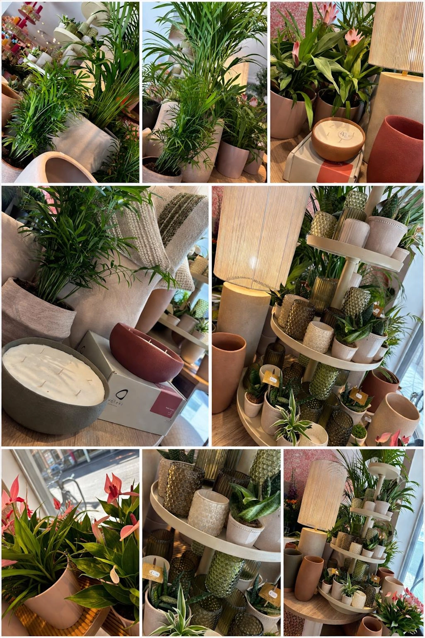 Passie voor interieur